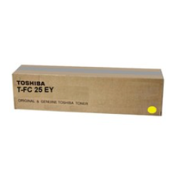 TOSHIBA 6AJ00000081...