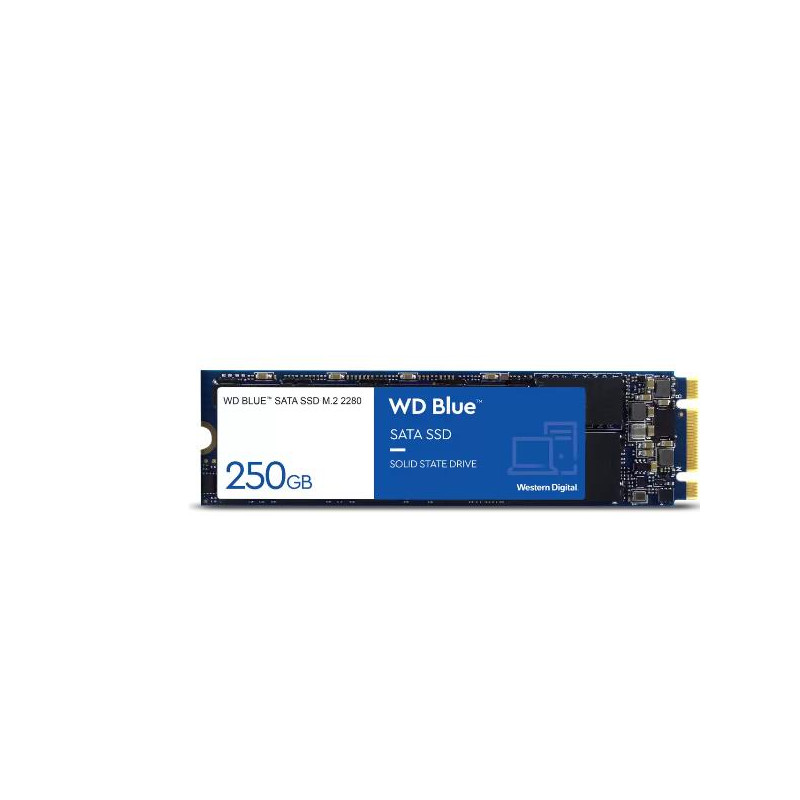 Western Digital SSD BLUE 250GB SATA M.2 3DNAND