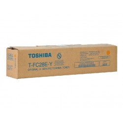 TOSHIBA T-FC28E-Y